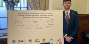 Combat Stress co-hosts parliament event to urge MPs to protect those affected by the harmful impact of fireworks